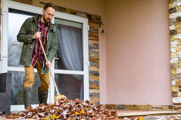 Best Electronics Removal Services  in Rock Falls, IL